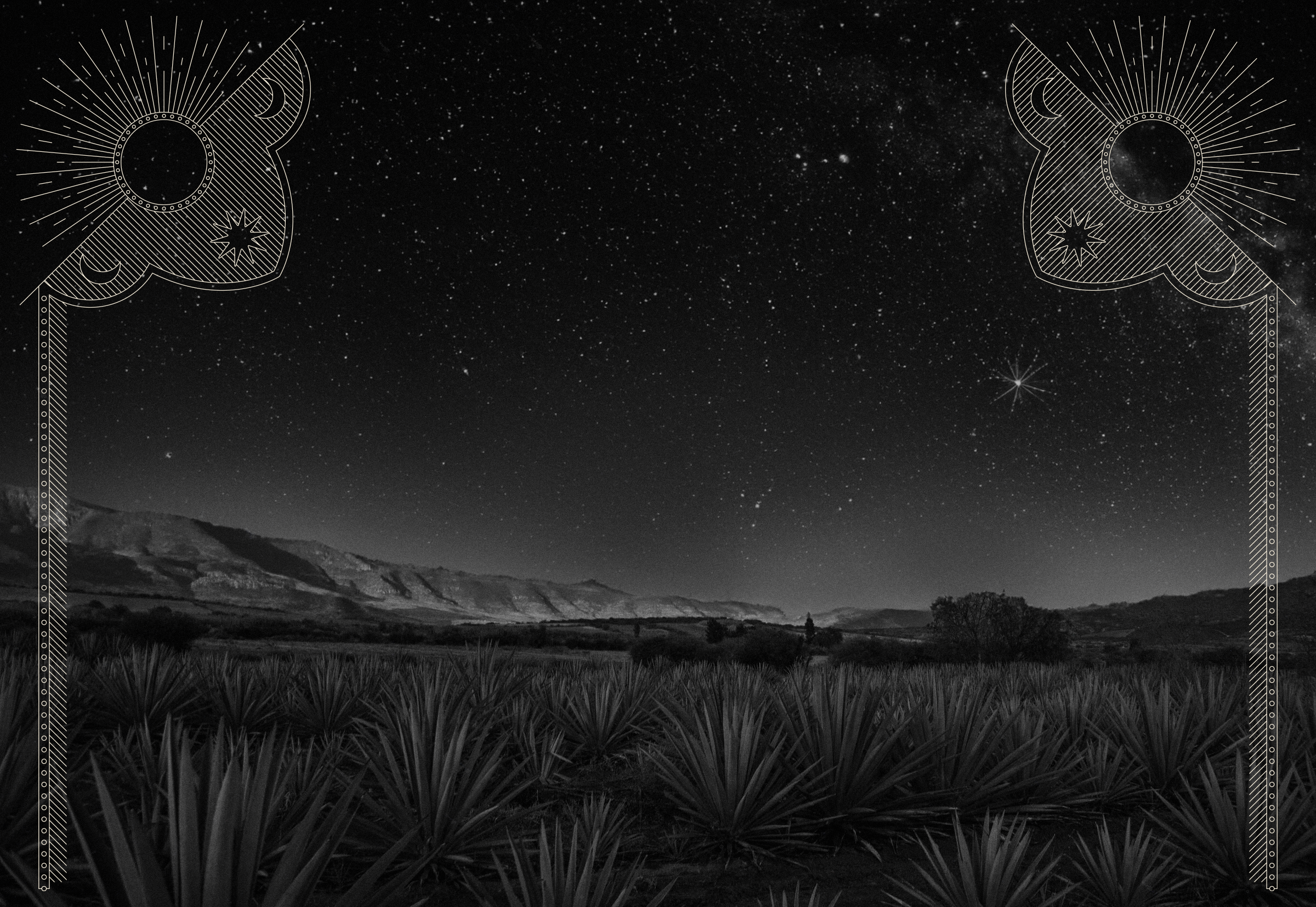Img_DoceCasas_Header_fc681379-9fd7-4cab-870d-a69cbe5f21d3.png