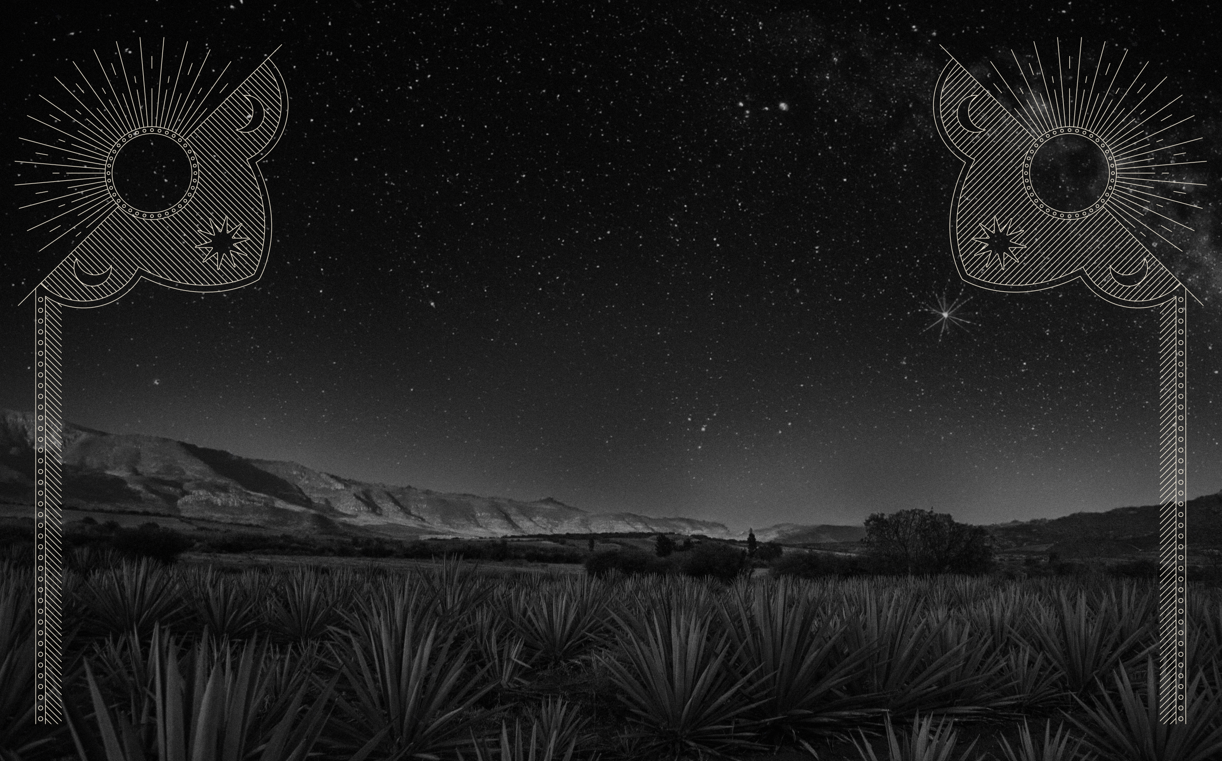 Img_DoceCasas_Header-2.png