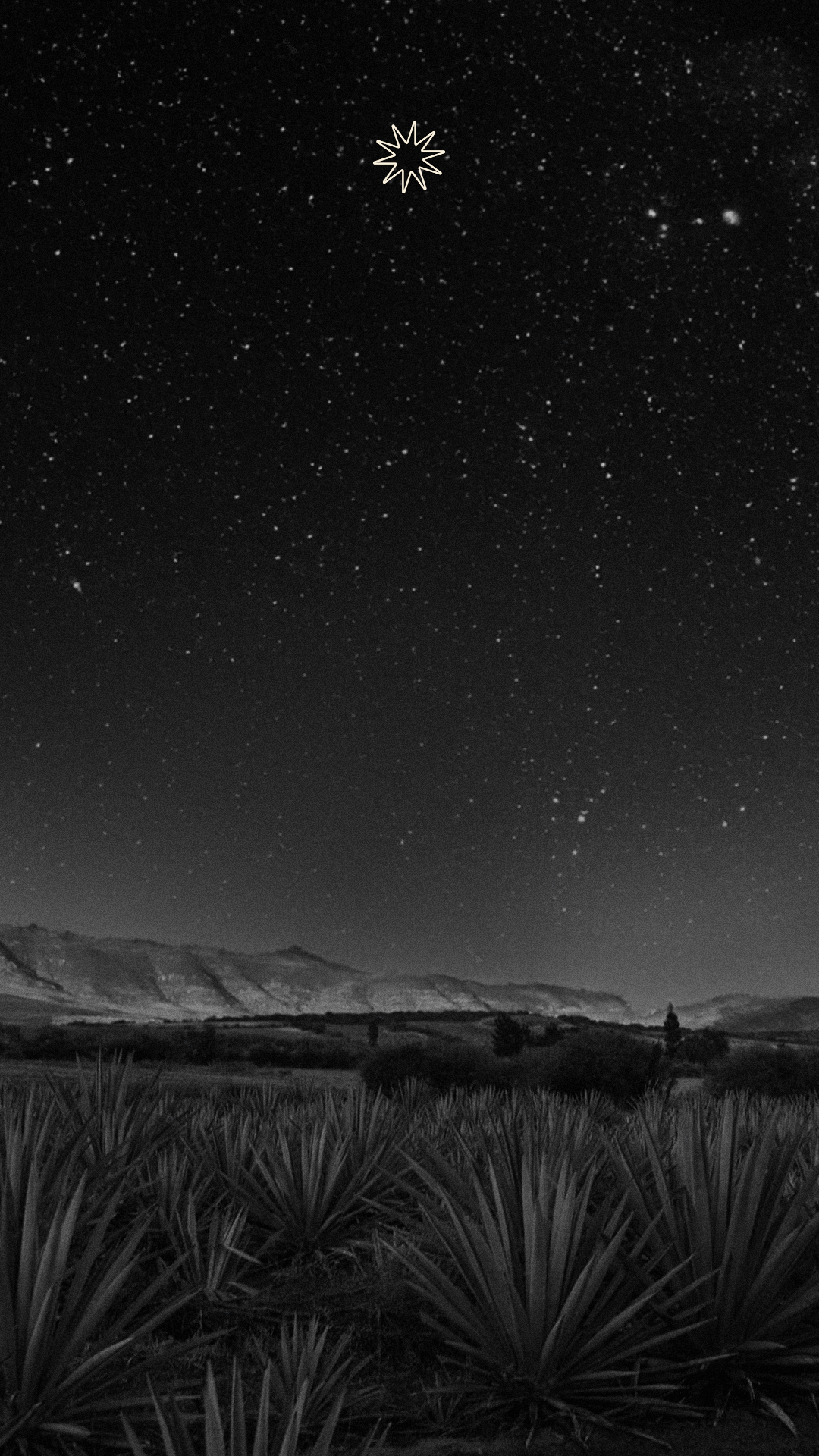 Img_DoceCasas_Header-mobile_9e63b690-0e57-4deb-a268-ae5fbf8f20eb.png